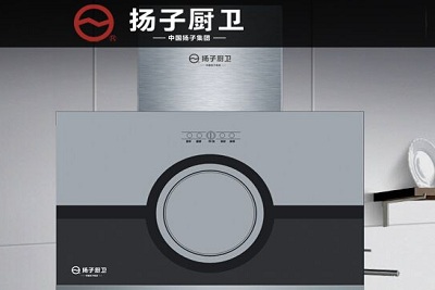洗碗機哪個品牌的性價比最高最好用？揚子洗碗機貴嗎？