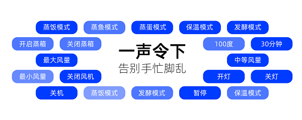 亿田D5Z天猫精灵蒸奇妙集成灶