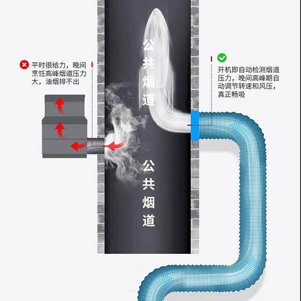 佳歌