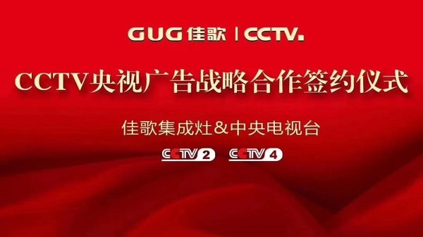 佳歌与央视合作
