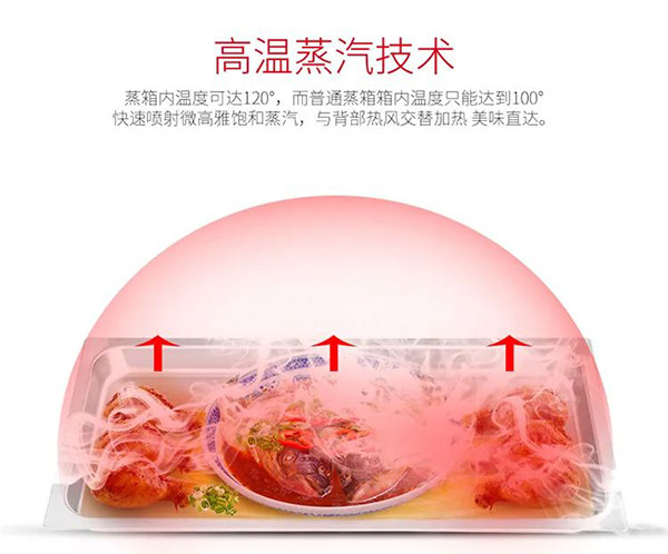 高温蒸汽技术