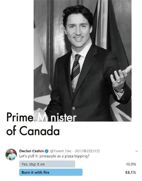 加拿大总理贾斯廷特鲁