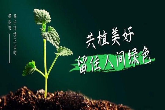 植树节丨博净分体式集成灶让厨房空气更清新