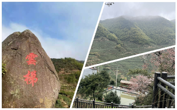 睿达集成灶