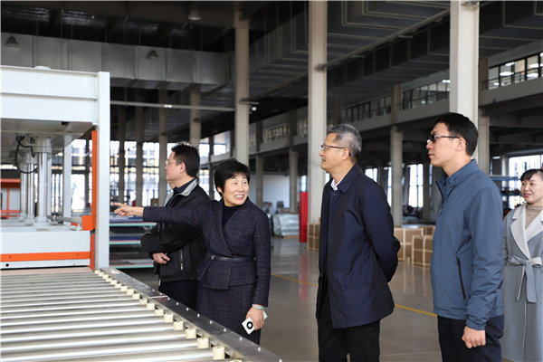 嵊州市委书记徐建役调研亿田新工厂