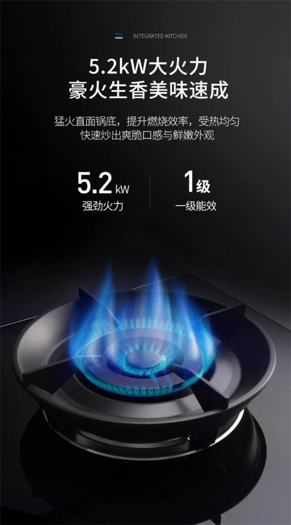 浙派集成灶