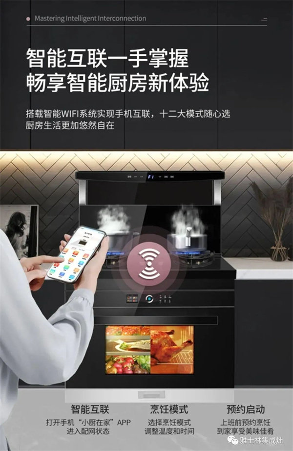 雅士林集成灶