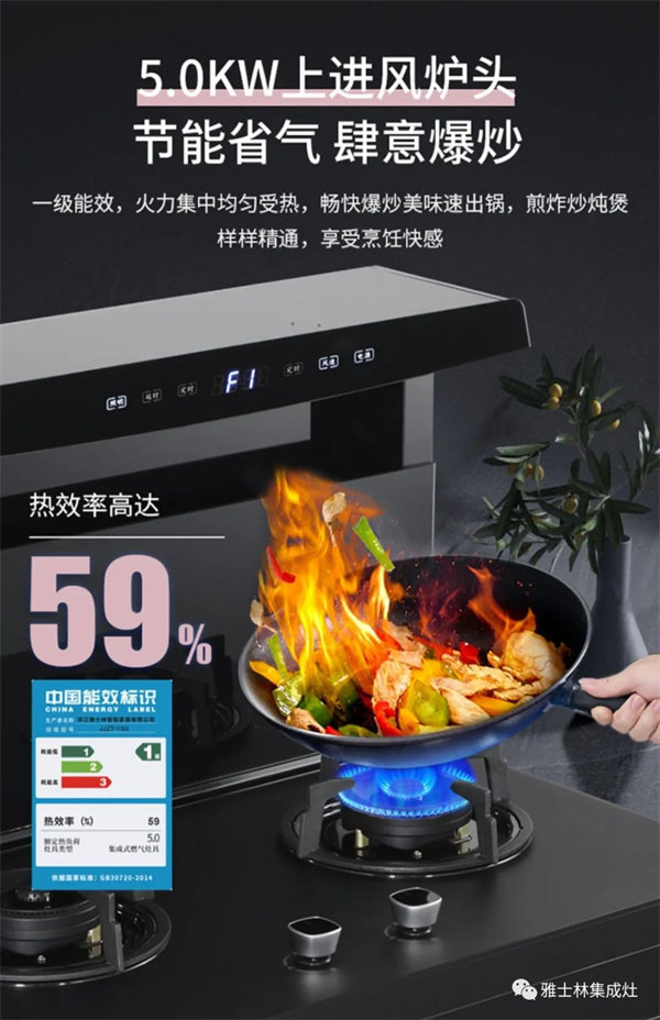 雅士林集成灶