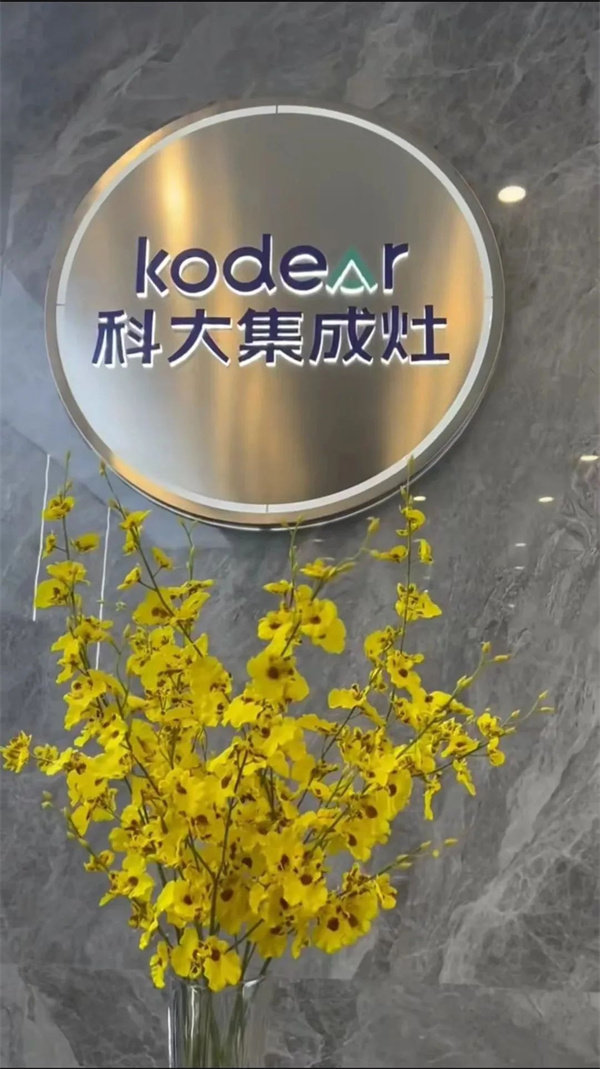按照总部SI方案完美落地
