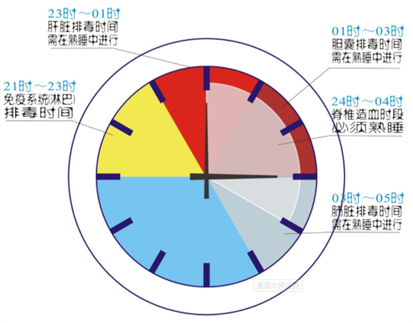 调整生物钟 