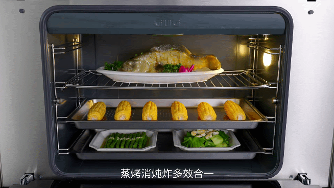 佳歌集成灶