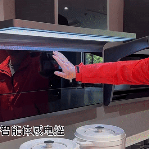 智能体感电控系统