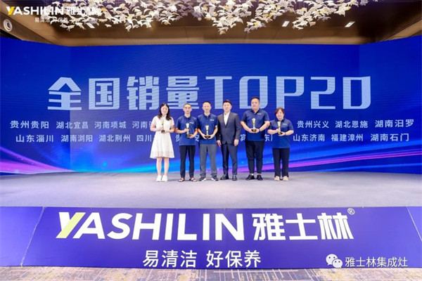 国销量TOP20