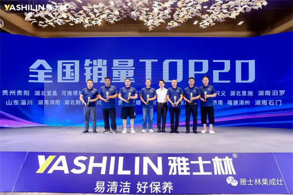 国销量TOP20