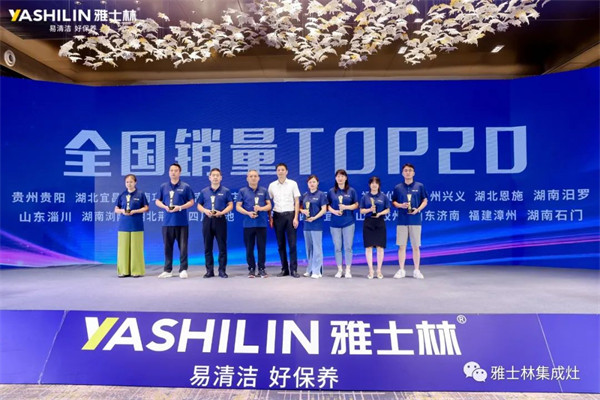 国销量TOP20
