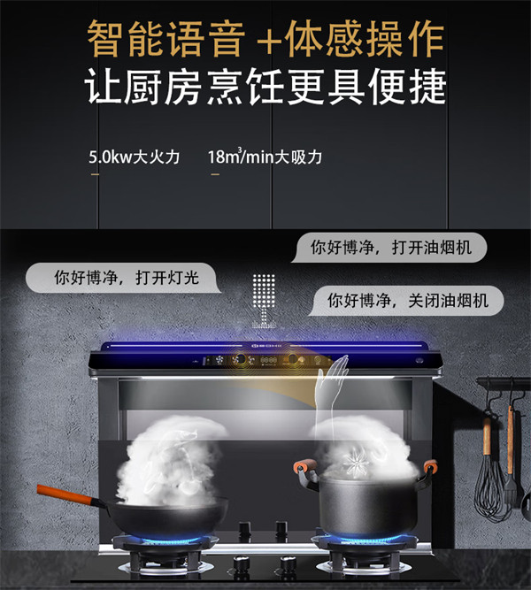 博净分体式集成灶