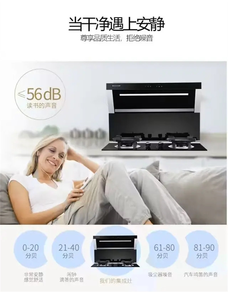 博净分体式集成灶